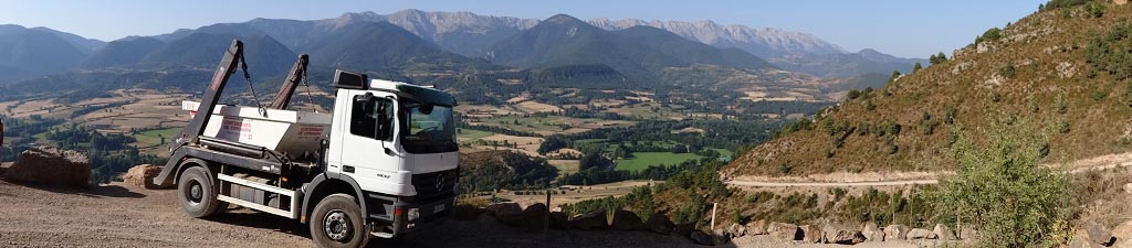 Camión grúa contenedor